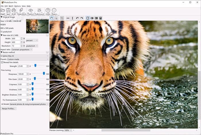 دانلود Benvista PhotoZoom Pro 9.0.2 (بزرگ کردن عکس بدون افت کیفیت) با لینک مستقیم و کرک معتبر