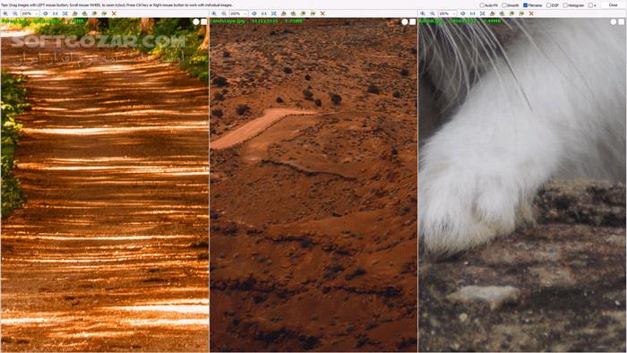 دانلود FastStone Image Viewer 8.1 Corporate - دانلود ویرایش عکس - سافت گذر