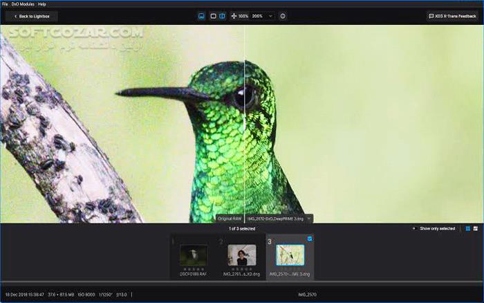 دانلود DxO PureRAW 6.8.0.7 (x64) (ویرایش عکس) با لینک مستقیم و کرک معتبر