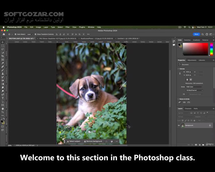 دانلود Udemy - Adobe Photoshop Masterclass with Photoshop 2025 + AI Updates - دانلود آموزش فتوشاپ - سافت گذر