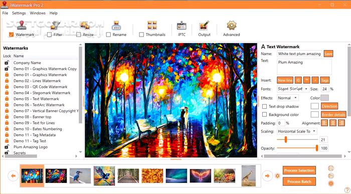 دانلود iWatermark Pro 2 v4.0.35 (x64) (قرار دادن واترمارک روی عکس) با لینک مستقیم و کرک معتبر
