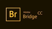 دانلود Adobe Bridge 2019 9.1.0.338 / macOS 9.0.3