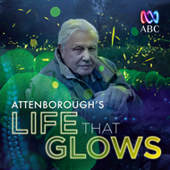دانلود Attenborough's Life That Glows