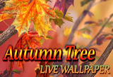 دانلود Autumn Tree 1.4 for Android +2.2