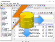 دانلود Exportizer Enterprise 9.3.7.226