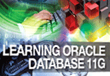 دانلود InfiniteSkills – Learning Oracle 11g Training Video