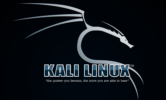 دانلود Kali Linux 2024.2 Final