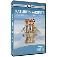 دانلود Nature's Misfits