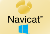 دانلود Navicat Premium 17.0.4 Final Win/Mac/Linux