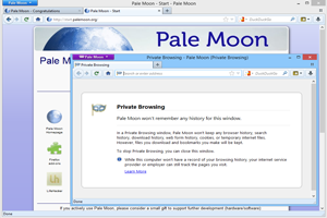 دانلود Pale Moon 33.6.0