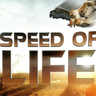 دانلود Speed of Life Documentary