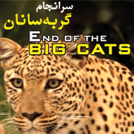 دانلود مستند کامل گربه سانان بزرگ با دوبله فارسی