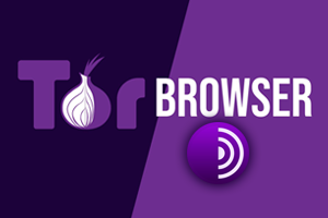 دانلود Tor Browser 14.5.8