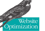 دانلود Website Optimization
