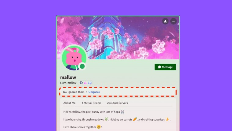 دیسکورد ویژگی “نادیده‌گرفتن” را معرفی کرد جایگزینی برای مسدود کردن